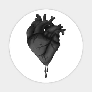 Anatomical Heart - Black and White Magnet